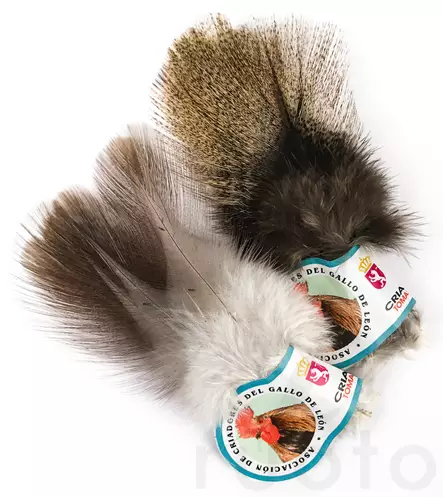 Hareline Coq De Leon - Other Feathers and Plumes - 40450200501 - 1