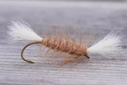 Pompero Light Brown - Other Flies - 8859202531551 - 1