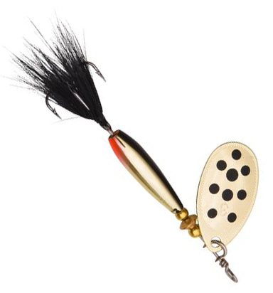 best fishing spots on lake lure Fishing in Lake Lure, NC (United States)  Find Spots, Species & Tips