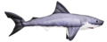 Gaby Great White shark 120cm - Soft Fishes - 5905279175761 - 1