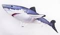 Gaby Great White shark 120cm - Soft Fishes - 5905279175761 - 2