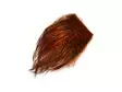 Frödinflies SNS Wild Boar Feelers - Other Feathers and Plumes - 20241021411 - 3