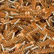 BoreTech Bronze Bore Brush 3 Pack - Other Gun Cleaning Products - 667739170031 - 6