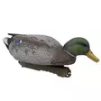 Final Approach Live Early Season Mallards 6pcs - Decoys - 071617045601 - 3