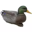 Final Approach Live Early Season Mallards 6pcs - Decoys - 071617045601 - 5