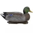 Final Approach Live Early Season Mallards 6pcs - Decoys - 071617045601 - 4