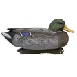Final Approach Live Early Season Mallards 6pcs - Decoys - 071617045601 - 6