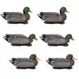 Final Approach Live Early Season Mallards 6pcs - Decoys - 071617045601 - 1