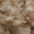 Hareline Big Pack Mallard Flank - Other Feathers and Plumes - 404503000451 - 3