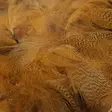 Hareline Big Pack Mallard Flank - Other Feathers and Plumes - 404503000451 - 2