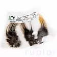 Hareline Coq De Leon - Other Feathers and Plumes - 40450200501 - 6