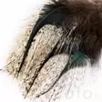 Hareline Coq De Leon - Other Feathers and Plumes - 40450200501 - 4