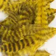 Grizzly Mini Marabou - Other Feathers and Plumes - 40450300021 - 7