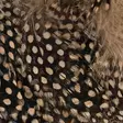 Strung Guinea Feathers - Other Feathers and Plumes - 40400400041 - 17
