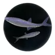 Microbite Alburnus 40mm - Soft Baits for Vertical Fishing - 34003000551 - 1