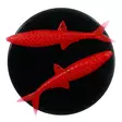 Microbite Alburnus 40mm - Soft Baits for Vertical Fishing - 34003000551 - 7