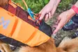 Non-stop Dogwear Protector Life Jacket - Dog Vest & Cloths - 7071652173421 - 8