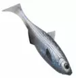Patriot Baitfish shad 8cm - Classic Softbaits - 1812202411 - 1