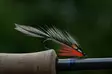 Pro Sportfisher Pro Jungle Cock Bulk - Jungle Cock and Substitute - 671227926901 - 3