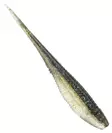 Rapala Crushcity The Jerk 3.75 - Classic Softbaits - 1909202411 - 4