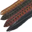 Soldarini Pheasant Tail - Other Feathers and Plumes - 2025011741 - 1
