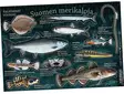 Suomen merikaloja - Kalatarrat - Printed Matter - 6430048500691 - 1