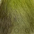 Wapsi Bucktail Large - Tails - 40500100001 - 37