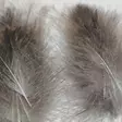 Wapsi CDC Super Select - Other Feathers and Plumes - 40400800111 - 13
