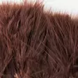 Wapsi Strung Marabou - Other Feathers and Plumes - 40450300031 - 4