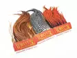 Whiting Bugger Pack - Other Capes and Saddles - 91871 - 1