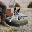 Yeti Dog Bed Small - Dog Beds - 888830612231 - 6