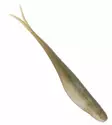 Z-Man Jerkshadz 3,5" - Floating softbaits - 173401 - 6