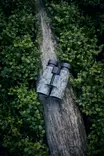 Zeiss Terra ED 10X42 Camo - Traditional Binoculars - 4047865002561 - 2