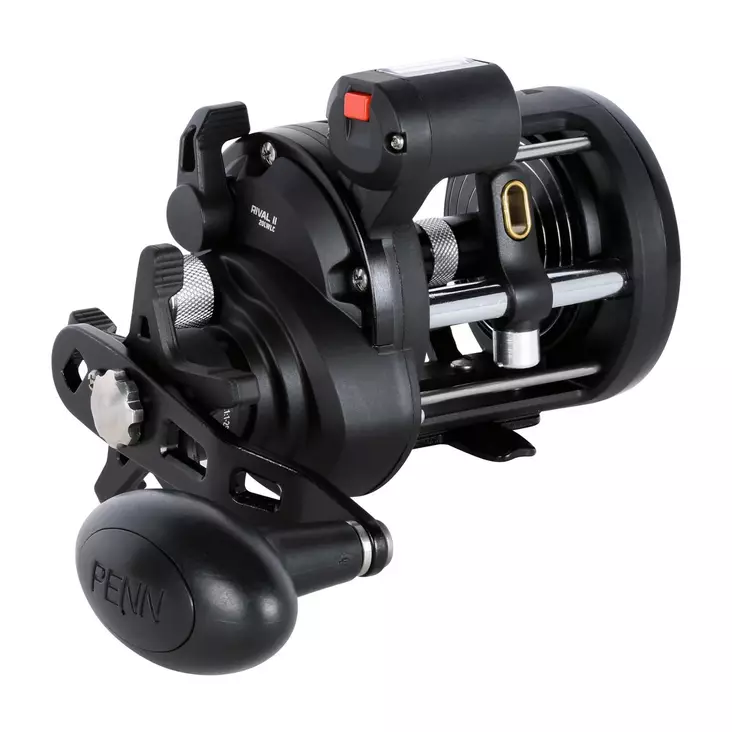 Penn Rival II Level Wind 20 LC - Saltwater Spinning Reels - 031324016521 - 1