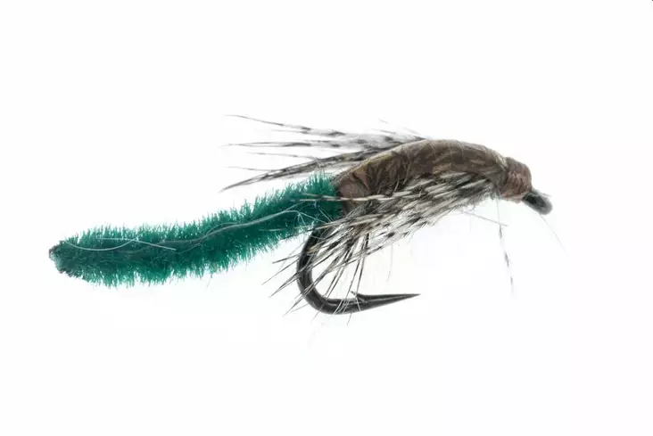 Chenille Pupa Caddis Green - Wet Flies - B10051 - 1