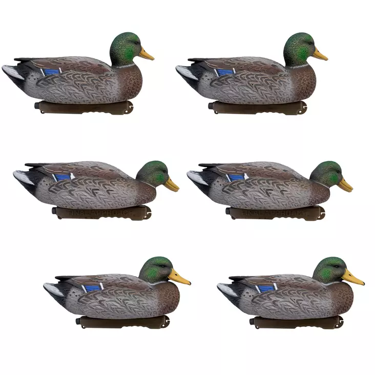 Final Approach Live Early Season Mallards 6pcs - Decoys - 071617045601 - 1