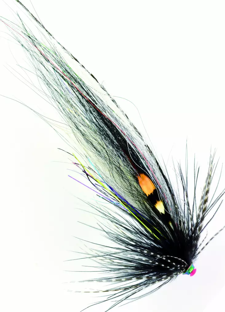 Frödin Flies TTT NoBody Series Zebra - Tube Flies - 7340154606851 - 1