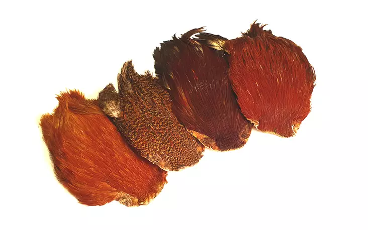 FTS Indian Cock Cape - Other Capes and Saddles - 6417512011 - 1