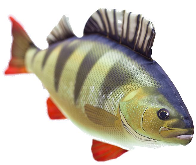 Gaby Ahven Pehmokala - Soft Fishes - 5905279175051 - 1