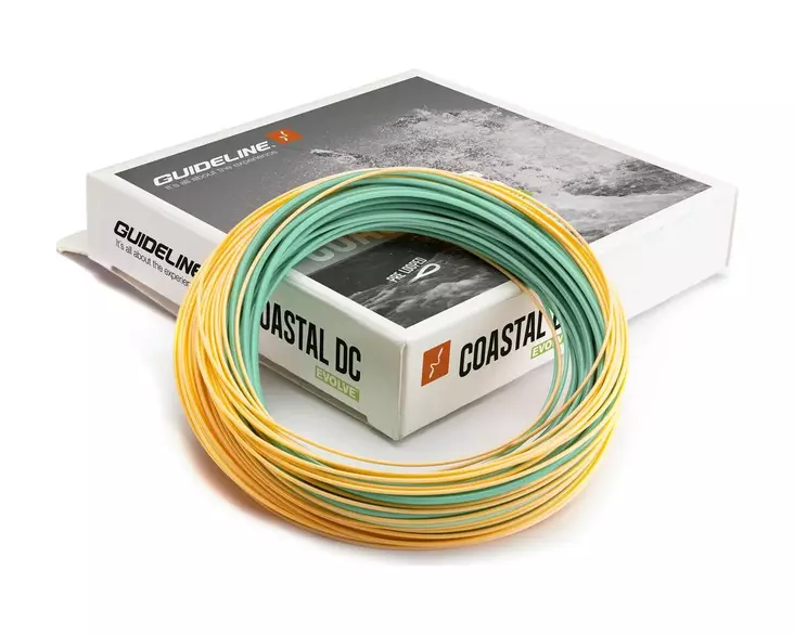 Guideline Coastal Evolve Slow Int. WF6 - Sinking - 7033841045841 - 1