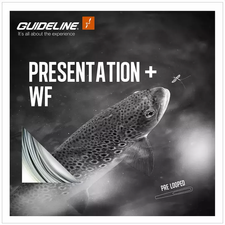 Guideline Presentation+ WF Float - Floating - 7033841071871 - 1
