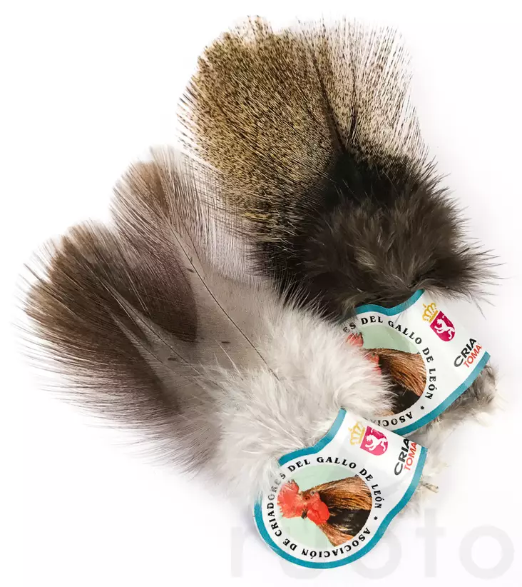 Hareline Coq De Leon - Other Feathers and Plumes - 40450200501 - 1