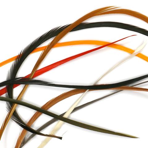 Hareline Stripped Goose Biots Combo Pack - Other Feathers and Plumes - 762820009341 - 1