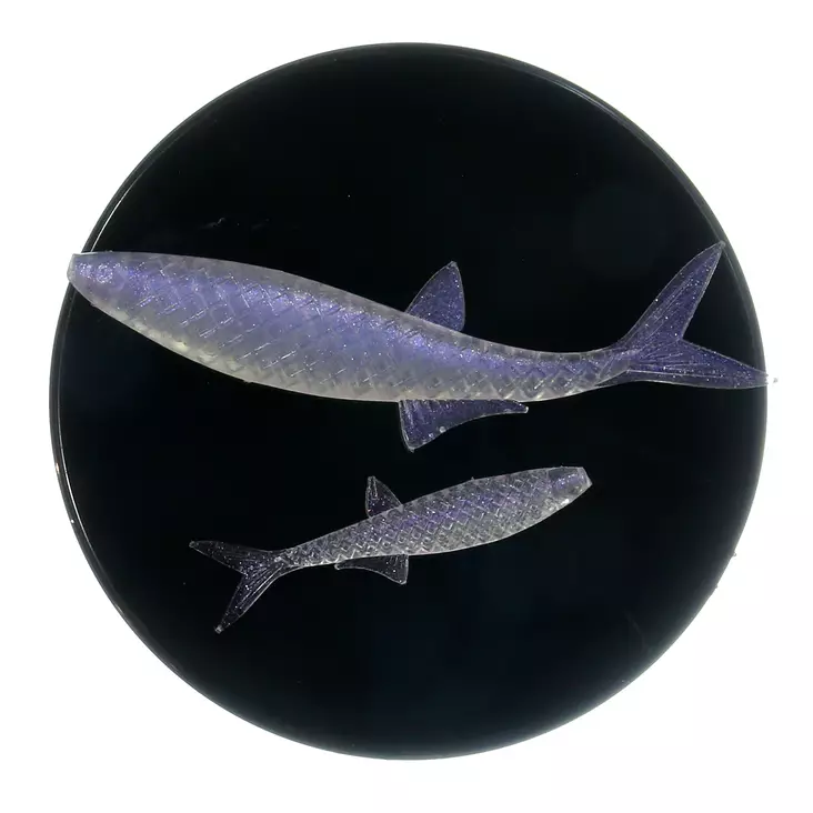 Microbite Alburnus 40mm - Soft Baits for Vertical Fishing - 34003000551 - 1