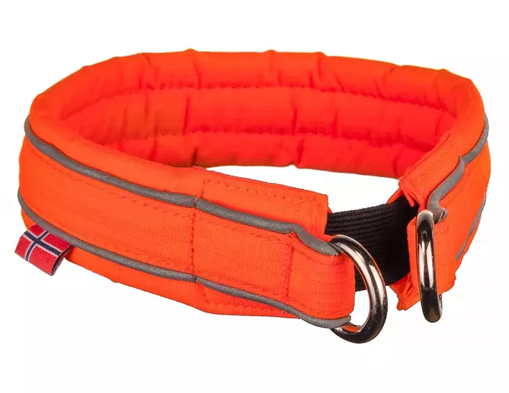 Non-stop Dogwear Safe Collar - Dog Collar - 7071652014151 - 1