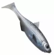 Patriot Baitfish shad 8cm - Classic Softbaits - 1812202411 - 1