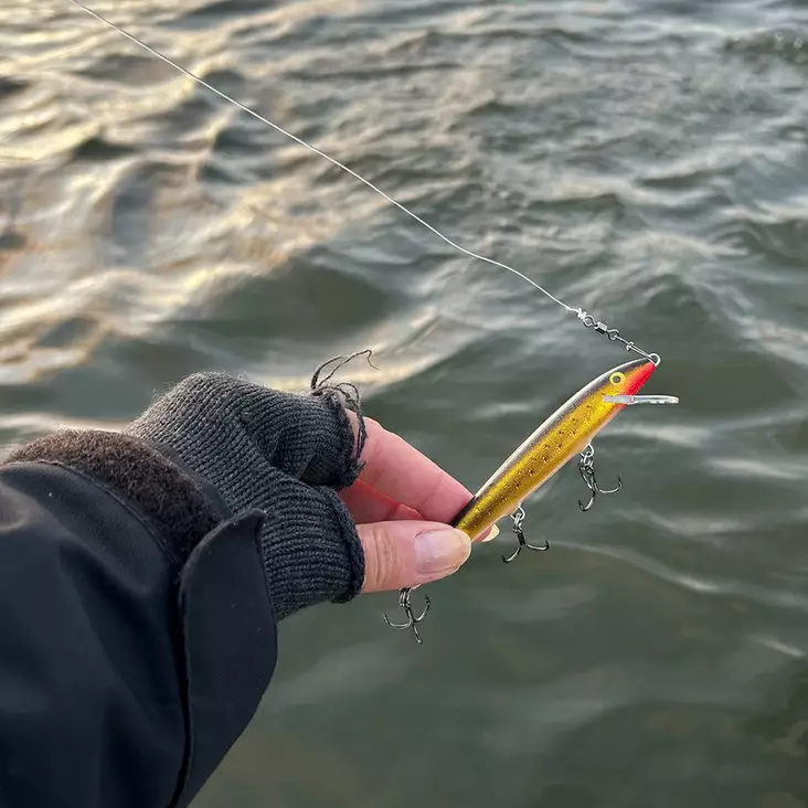 Leurres De Pêche Rapala Collector - Bavette Plastique Dur, Bruiteur, Pour Eau Douce