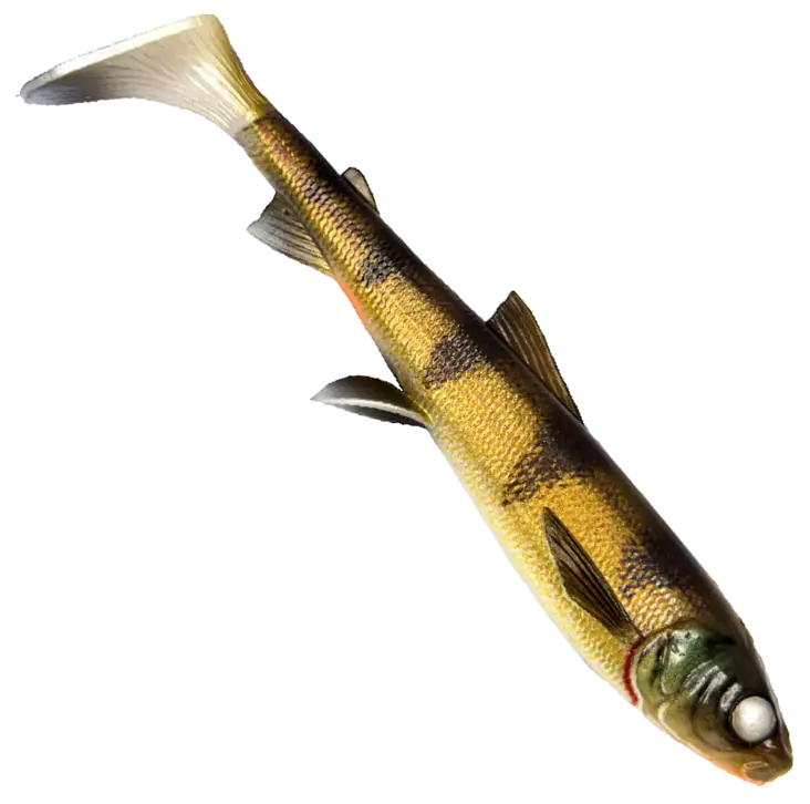 Savage Gear 3D Line Thru Whitefish - Leurres Souples Montés - Magasin de peche