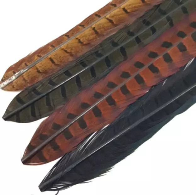 Soldarini Pheasant Tail - Other Feathers and Plumes - 2025011741 - 1
