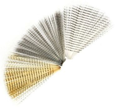 Barred Tail Fibbets - Other Fly Tying Products - 408500001 - 2